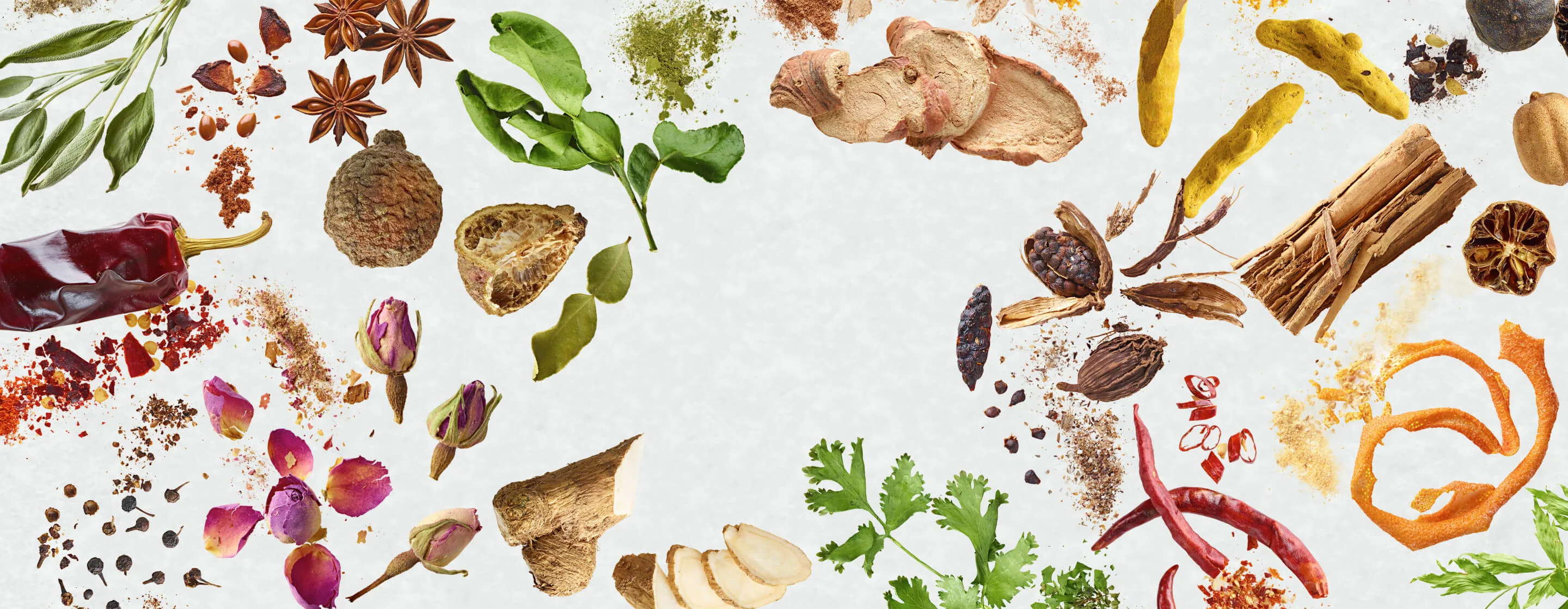 Welcome to Our Store